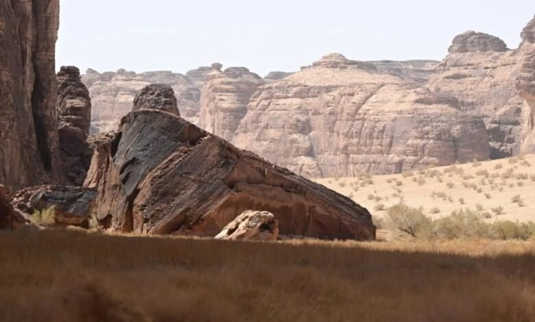 صور-|-محمية-شرعان-في-العُلا.-نموذج-عالمي-لإدارة-البيئات-الصحراوية