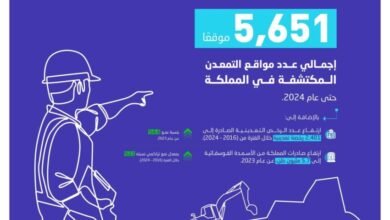 الإحصاء:-ارتفاع-عدد-مواقع-التمعدن-المكتشفة-في-المملكة-إلى-(5,651)-موقعًا