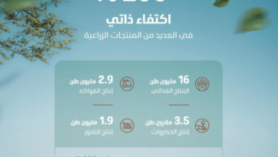 البيئة:-جهود-متواصلة-ومؤشرات-مرتفعة-تعكس-مسارًا-تصاعديًا-لمنظومة-الأمن-الغذائي-واستدامته