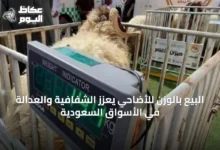 البيع-بالوزن-للأضاحي-يعزز-الشفافية-والعدالة-في-الأسواق-السعودية