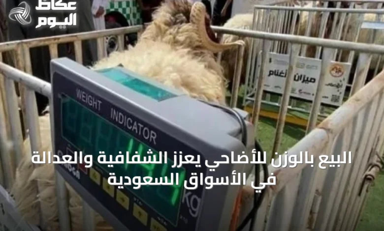البيع-بالوزن-للأضاحي-يعزز-الشفافية-والعدالة-في-الأسواق-السعودية