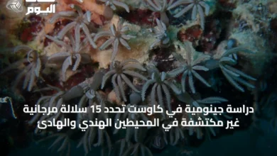 دراسة-جينومية-في-كاوست-تحدد-15-سلالة-مرجانية-غير-مكتشفة-في-المحيطين-الهندي-والهادئ