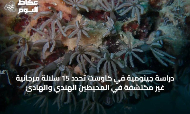 دراسة-جينومية-في-كاوست-تحدد-15-سلالة-مرجانية-غير-مكتشفة-في-المحيطين-الهندي-والهادئ