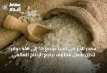 أسعار-الأرز-في-آسيا-ترتفع-5%-إلى-446-دولاراً-للطن-بفعل-مخاوف-تراجع-الإنتاج-العالمي