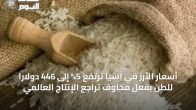 أسعار-الأرز-في-آسيا-ترتفع-5%-إلى-446-دولاراً-للطن-بفعل-مخاوف-تراجع-الإنتاج-العالمي