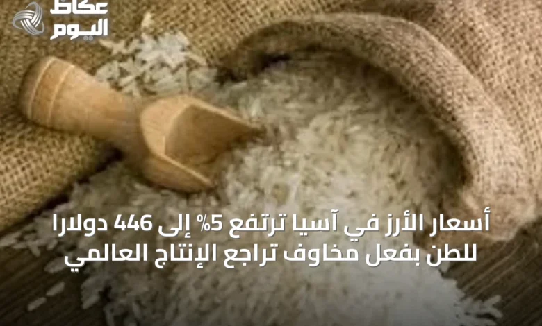 أسعار-الأرز-في-آسيا-ترتفع-5%-إلى-446-دولاراً-للطن-بفعل-مخاوف-تراجع-الإنتاج-العالمي