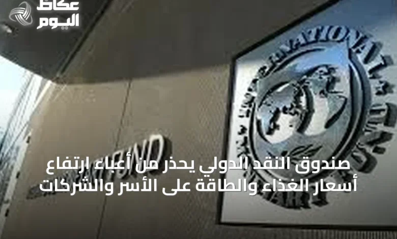صندوق-النقد-الدولي-يحذر-من-أعباء-ارتفاع-أسعار-الغذاء-والطاقة-على-الأسر-والشركات
