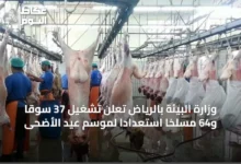 وزارة-البيئة-بالرياض-تعلن-تشغيل-37-سوقًا-و64-مسلخًا-استعدادًا-لموسم-عيد-الأضحى