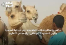 مكتب-وزارة-البيئة-بالمحافظة-ينجز-حصرًا-ميدانيًا-للماشية-والإبل-المملوكة-لمواطني-دول-مجلس-التعاون