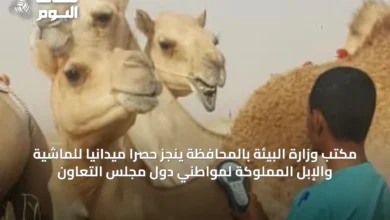 مكتب-وزارة-البيئة-بالمحافظة-ينجز-حصرًا-ميدانيًا-للماشية-والإبل-المملوكة-لمواطني-دول-مجلس-التعاون