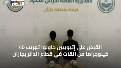 القبض-على-إثيوبيين-حاولوا-تهريب-40-كيلوجراماً-من-القات-في-قطاع-الدائر-بجازان