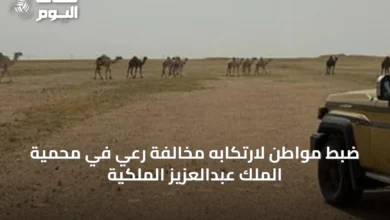 ضبط-مواطن-لارتكابه-مخالفة-رعي-في-محمية-الملك-عبدالعزيز-الملكية