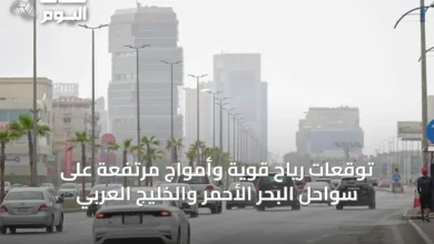 توقعات-رياح-قوية-وأمواج-مرتفعة-على-سواحل-البحر-الأحمر-والخليج-العربي