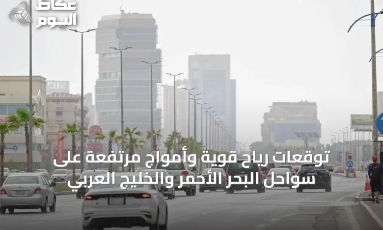 توقعات-رياح-قوية-وأمواج-مرتفعة-على-سواحل-البحر-الأحمر-والخليج-العربي