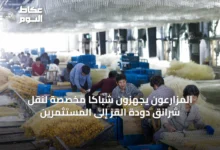 المزارعون-يجهزون-شباكاً-مخصّصة-لنقل-شرانق-دودة-القز-إلى-المستثمرين