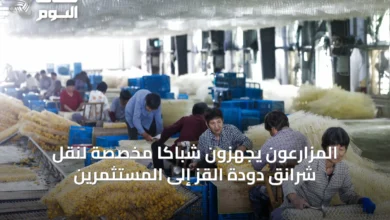 المزارعون-يجهزون-شباكاً-مخصّصة-لنقل-شرانق-دودة-القز-إلى-المستثمرين