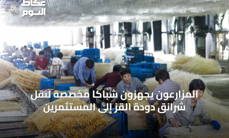 المزارعون-يجهزون-شباكاً-مخصّصة-لنقل-شرانق-دودة-القز-إلى-المستثمرين