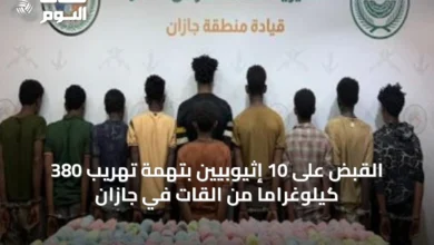 القبض-على-10-إثيوبيين-بتهمة-تهريب-380-كيلوغراماً-من-القات-في-جازان