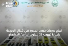 نجاح-دوريات-حرس-الحدود-في-قطاع-الربوعة-بإحباط-تهريب-23-كيلوجرامًا-من-الحشيش