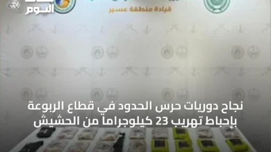 نجاح-دوريات-حرس-الحدود-في-قطاع-الربوعة-بإحباط-تهريب-23-كيلوجرامًا-من-الحشيش