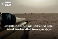 القوات-الخاصة-للأمن-البيئي-تضبط-مخالفاً-لارتكاب-رعي-إبل-في-محمية-الملك-عبدالعزيز-الملكية