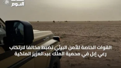 القوات-الخاصة-للأمن-البيئي-تضبط-مخالفاً-لارتكاب-رعي-إبل-في-محمية-الملك-عبدالعزيز-الملكية