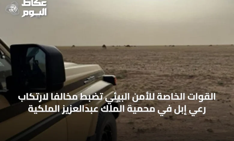 القوات-الخاصة-للأمن-البيئي-تضبط-مخالفاً-لارتكاب-رعي-إبل-في-محمية-الملك-عبدالعزيز-الملكية