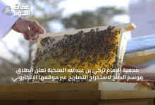 محمية-الإمام-تركي-بن-عبدالله-الملكية-تعلن-انطلاق-موسم-الطلح-لاستخراج-التصاريح-عبر-موقعها-الإلكتروني
