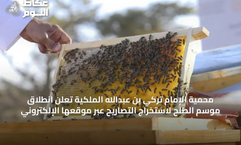 محمية-الإمام-تركي-بن-عبدالله-الملكية-تعلن-انطلاق-موسم-الطلح-لاستخراج-التصاريح-عبر-موقعها-الإلكتروني