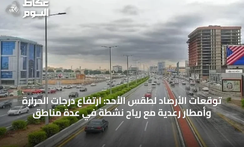 توقعات-الأرصاد-لطقس-الأحد:-ارتفاع-درجات-الحرارة-وأمطار-رعدية-مع-رياح-نشطة-في-عدة-مناطق