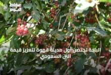 الباحة-تحتضن-أول-مدينة-قهوة-لتعزيز-قيمة-البن-السعودي