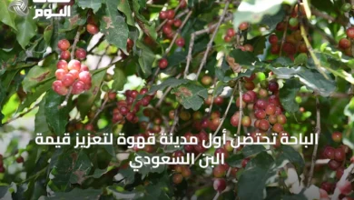 الباحة-تحتضن-أول-مدينة-قهوة-لتعزيز-قيمة-البن-السعودي