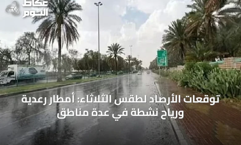 توقعات-الأرصاد-لطقس-الثلاثاء:-أمطار-رعدية-ورياح-نشطة-في-عدة-مناطق