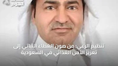 تنظيم-الرعي:-من-صون-الغطاء-النباتي-إلى-تعزيز-الأمن-الغذائي-في-السعودية