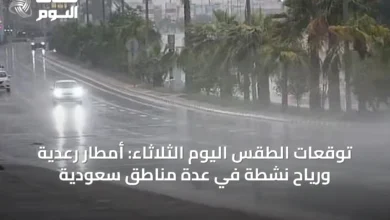 توقعات-الطقس-اليوم-الثلاثاء:-أمطار-رعدية-ورياح-نشطة-في-عدة-مناطق-سعودية