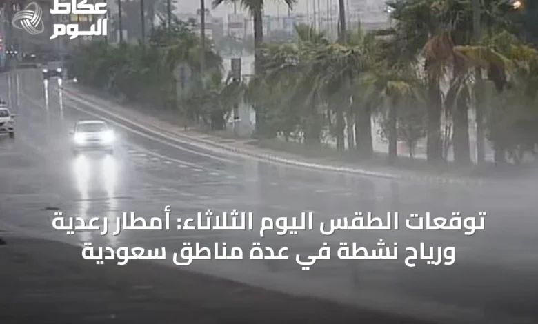 توقعات-الطقس-اليوم-الثلاثاء:-أمطار-رعدية-ورياح-نشطة-في-عدة-مناطق-سعودية