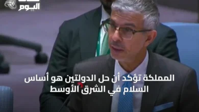 المملكة-تؤكد-أن-حل-الدولتين-هو-أساس-السلام-في-الشرق-الأوسط