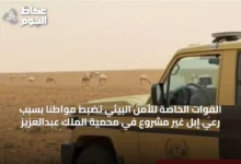 القوات-الخاصة-للأمن-البيئي-تضبط-مواطنًا-بسبب-رعي-إبل-غير-مشروع-في-محمية-الملك-عبدالعزيز