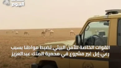 القوات-الخاصة-للأمن-البيئي-تضبط-مواطنًا-بسبب-رعي-إبل-غير-مشروع-في-محمية-الملك-عبدالعزيز