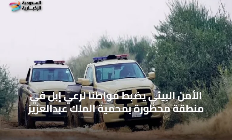 الأمن-البيئي-يضبط-مواطنًا-لرعي-إبل-في-منطقة-محظورة-بمحمية-الملك-عبدالعزيز