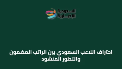 احتراف-اللاعب-السعودي-بين-الراتب-المضمون-والتطور-المنشود