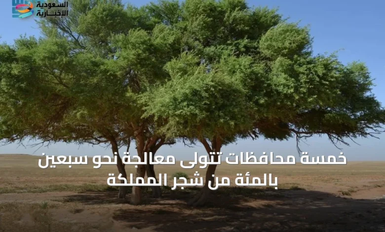 خمسة-محافظات-تتولى-معالجة-نحو-سبعين-بالمئة-من-شجر-المملكة