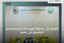 القبض-على-محاولة-تهريب-66-كيلوغراماً-من-الحشيش-في-عسير