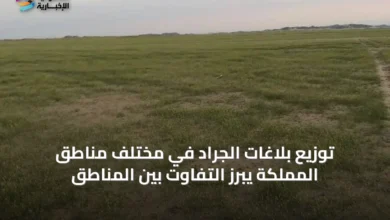 توزيع-بلاغات-الجراد-في-مختلف-مناطق-المملكة-يبرز-التفاوت-بين-المناطق