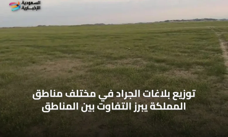 توزيع-بلاغات-الجراد-في-مختلف-مناطق-المملكة-يبرز-التفاوت-بين-المناطق