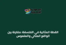 القطة-المثالية-في-الفلسفة:-مقارنة-بين-الواقع-المثالي-والملموس