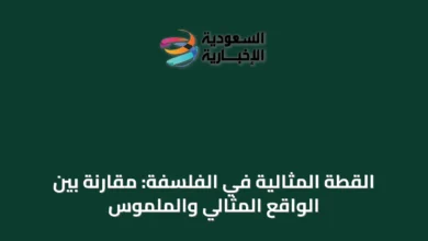 القطة-المثالية-في-الفلسفة:-مقارنة-بين-الواقع-المثالي-والملموس