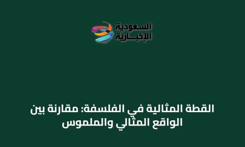 القطة-المثالية-في-الفلسفة:-مقارنة-بين-الواقع-المثالي-والملموس