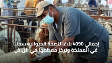 إجمالي-4090-بلاغاً-للصحة-الحيوانية-سُجّلت-في-المملكة-وتركّز-معظمها-في-الرياض
