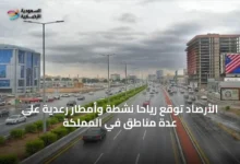 الأرصاد-توقع-رياحاً-نشطة-وأمطار-رعدية-على-عدة-مناطق-في-المملكة